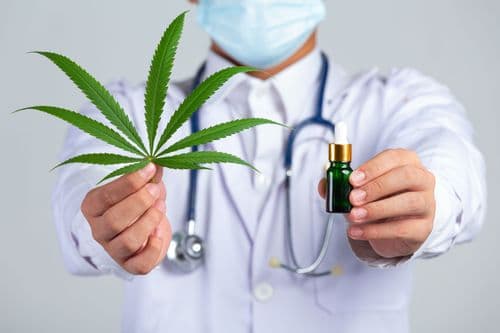Introdução à Medicina Canabinoide